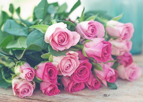 ����������¾��ã��������� (5)