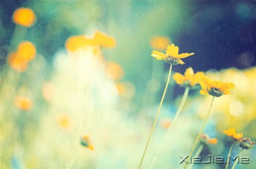 ������Ҳ������������� (5)