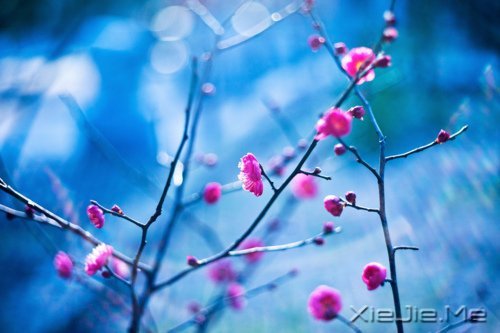 ��Ҫ�������ˣ���Ҫ����Լ� (9)