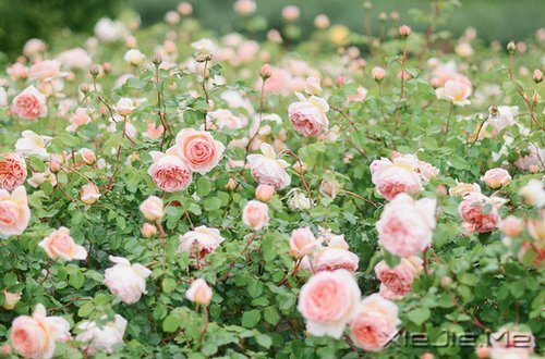 ѡ��������£�ڹ�Ϳ��������� (2)