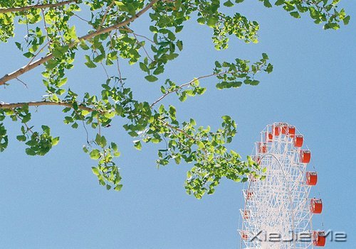 �����ĸ߹�Ӧ�������ڹ�ȥ���Լ� (1)