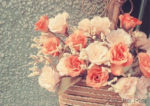 ��׷��ʲô����ȥŬ���� (10)