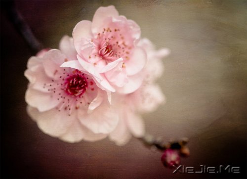 淡然一切,往事如烟 (3)