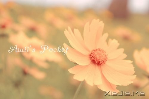 淡然一切,往事如烟 (4)