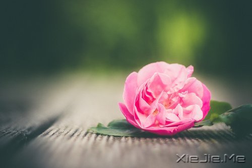 �����������Ľ�ӡ������ӡ������Ţ��·�� (9)