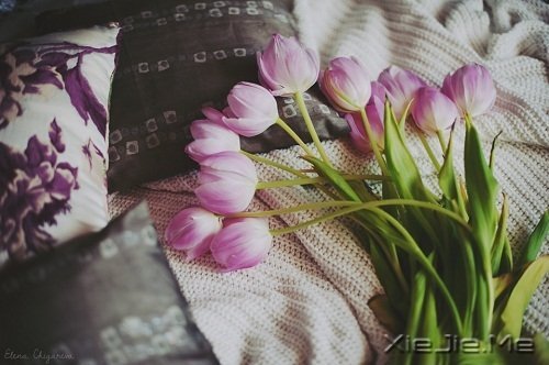 Ը����������ʱ�⣬���������õ��� (2)