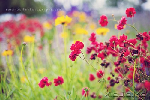 最深的孤独不是一片黑暗,而是你只能看到自己 (5)