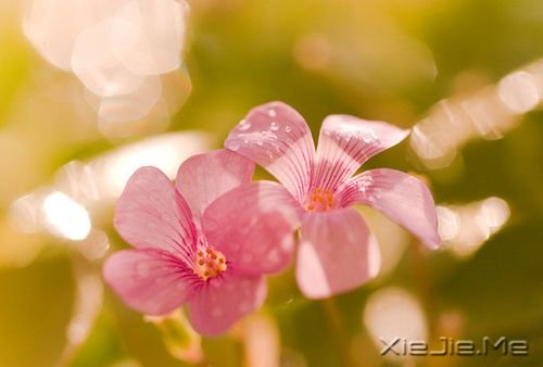 ��ֻ�ж���������֮�أ����ܿ���ʱ��֮�� (2)