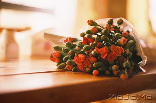 晚安心语:在途中,认清自己 (11)