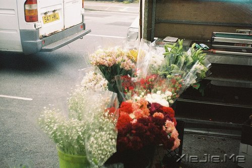 早安心语:生活的美好缘于拥有一颗平常心 (8)