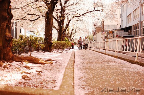 晚安心语:我有一种情绪,叫做莫名的忧伤 (9)