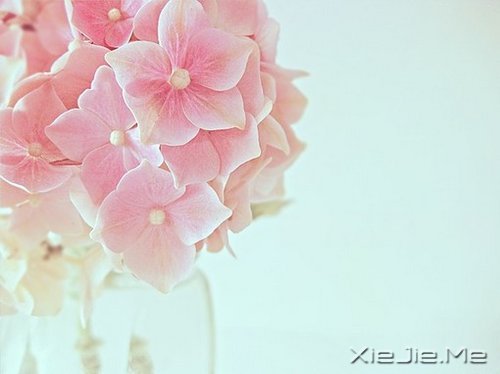 �簲�����һ�����ɣ�ȥ�������� (6)