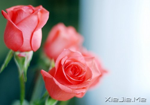 �簲�����Ϊ����Ϊ���ˣ����˲����˵��� (8)