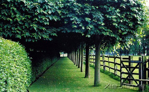 �簲�����ȥ�ľ͹�ȥ�ˣ�������Ȼ���� (6)