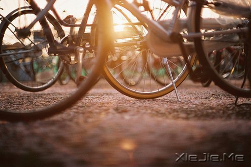 晚安心语:不卑不亢,清澈生活 (4)