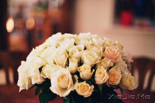 晚安心语:把生活转个身,重新开始 (8)