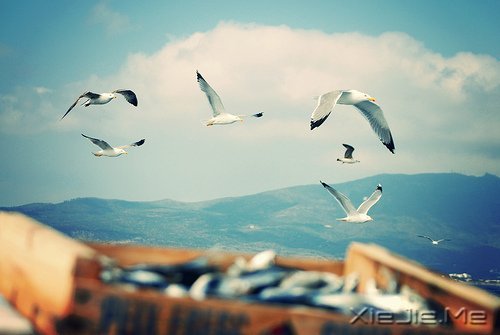 ͯ��δ������һ��ֵ�ý��������� (7)