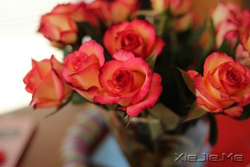 晚安心语:愿细水流年时,地老天荒 (6)