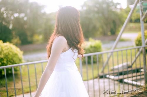 早安心语:用宽容的心,阅读自己和世界 (10)