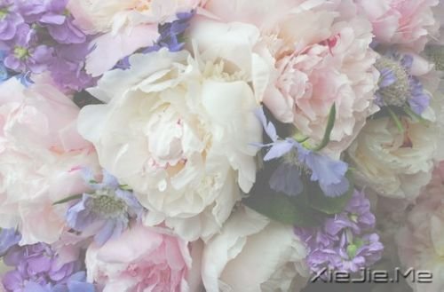 晚安心语:只要心跳还在,演出就没有落幕 (10)