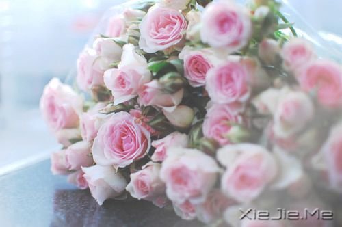 晚安心语:生活就是生下来,活下去 (2)