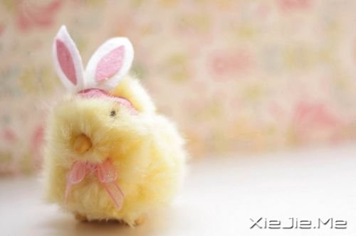 �簲���������¶��ģ�������;����ʧ���Լ� (9)