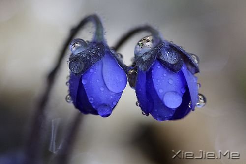 早安心语:沙漏记得,我们遗忘的时光 (6)