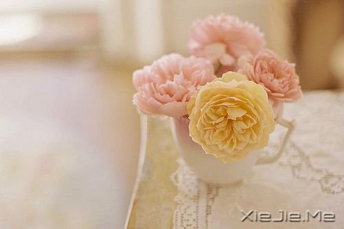 早安心语:用所有的勇气,撑起最灿烂的笑容 (6)