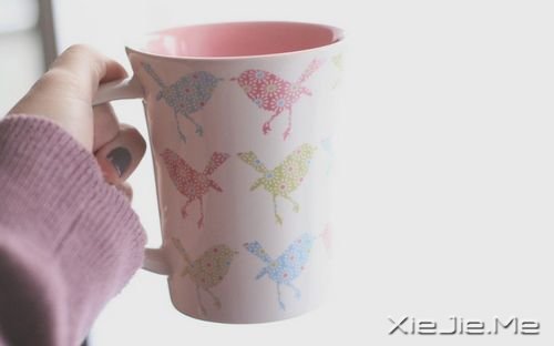 ����������ҹ���Żῴ���������ǹ� (10)