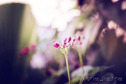 �簲����ɹ����ٶ�һ��Ҫ������ĸ��ȥ���ٶ� (8)