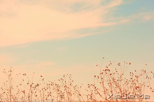 早安心语:生命中有风有雨,也有阳光 (7)