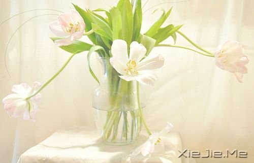 �簲����������ڱ��˵����������ʧ���Լ�����·�� (5)