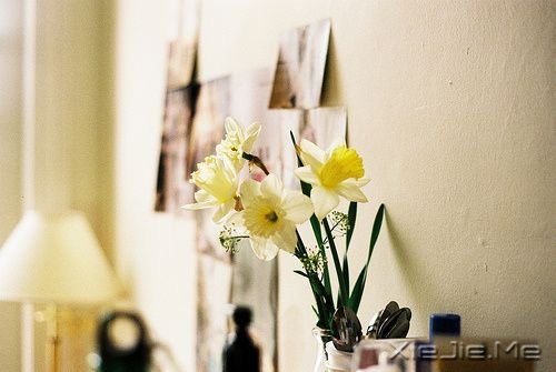 晚安心语:孤单时,仍要守护你心中的思念 (3)