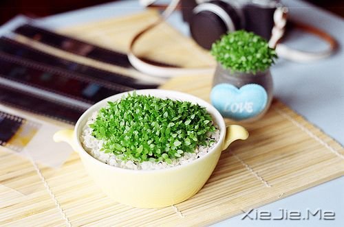 晚安心语:与其担心未来,不如现在好好努力 (4)