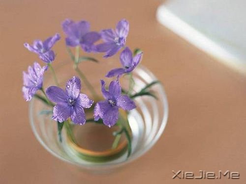 晚安心语:别让别人左右了你的青春 (1)