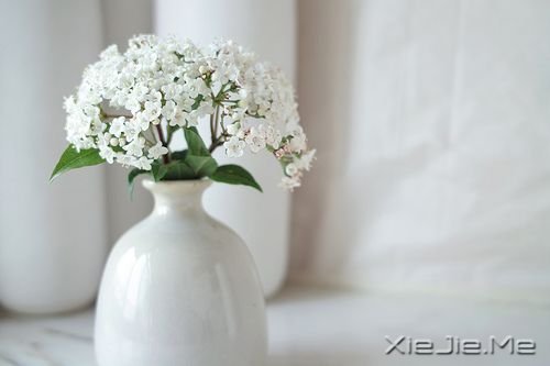 晚安心语:最懂你的人,才是最温暖的伴 (7)