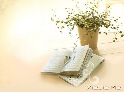 晚安心语:快乐的人不是没有痛苦,而是不会被痛苦所左右 (3)