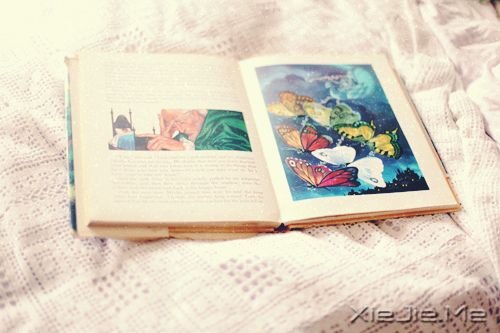 ��������ˣ���������һ��ӵ�� (5)