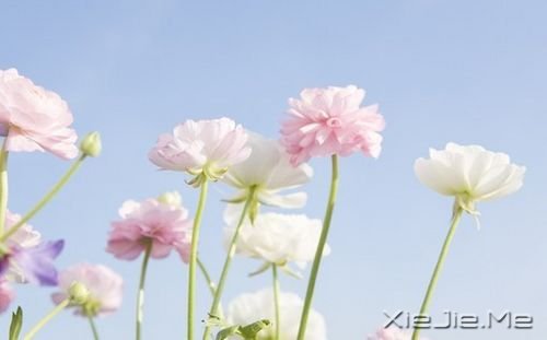 С���С������С���㣬���Ǵ��Ҹ� (12)