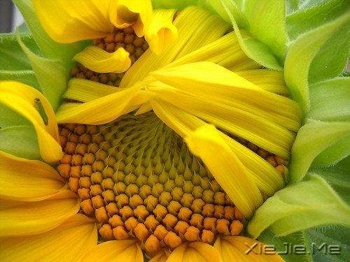 һ�������ˣ�����ȥԶ�� (11)