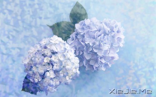 ���֣�ƽ��