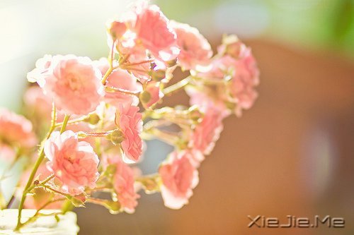 高EQ的十种表现