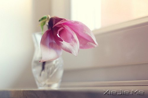 做好自己不留任何遗憾 (2)