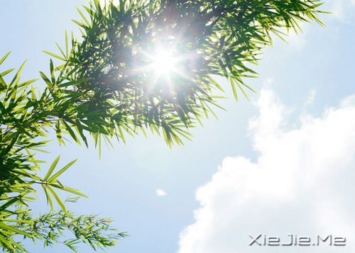 �����а˶�