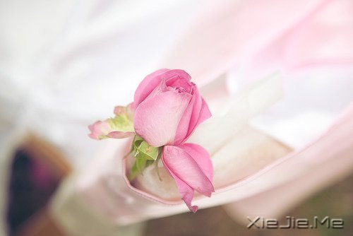 10首温暖的英文歌曲推荐 (2)