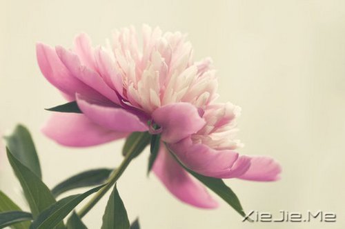 10首温暖的英文歌曲推荐 (10)