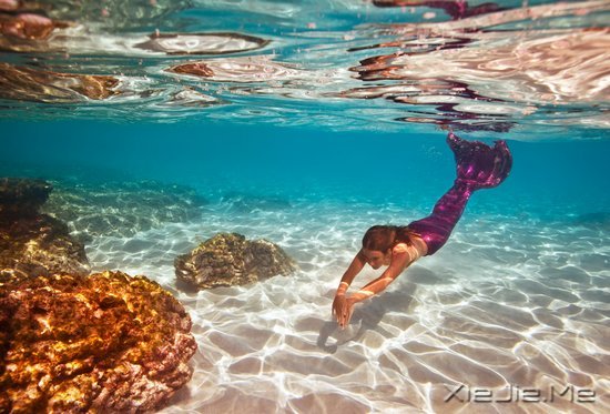 不是所有的鱼都生活在同一片海里