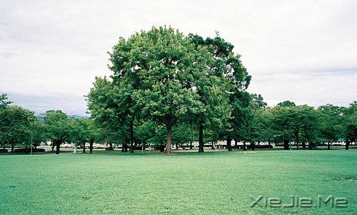 ���֣������������Ҫ��һ���� (4)