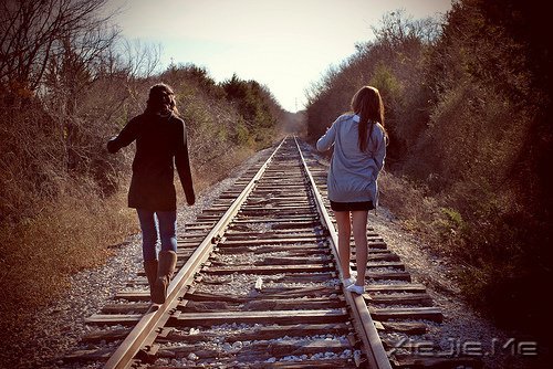 知乎精选:这才是真正的朋友