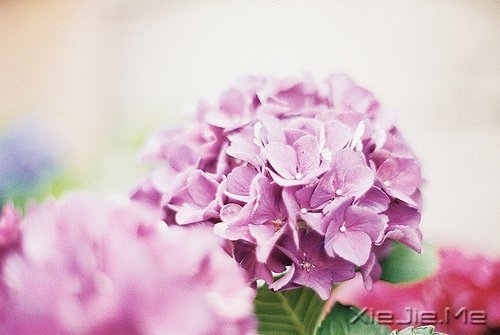 ������¼����ʲôҲ������������ (8)